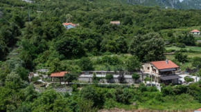 Guest House Vrelo